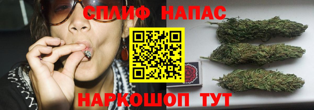Шишки марихуана конопля  Вход с VPN  Бошки марихуана план  Обь  Бошки Шишки VHQ 